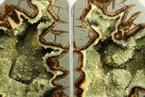 Crystal Filled Septarian Geode Bookends - Utah #288938-2
